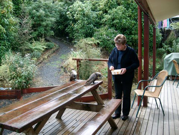 Your host at Rakiura Lodge, Stewart Island, New Zealand, Mona