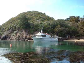 Scenic boat cruises around the bays of Stewart Island, New Zealand